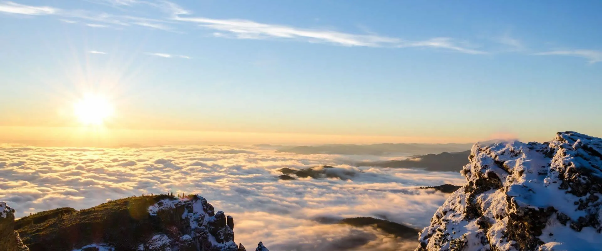 Precise and refined in their artistry.