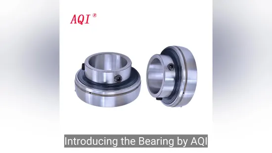Stainless Steel Bearing Housing Units (UCP SERIES)